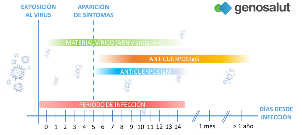 Los Diferentes Test De Deteccion De Sars Cov2 En Personas