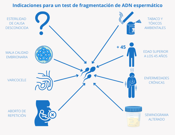 Test de fragmentación ADN espermático, indicaciones