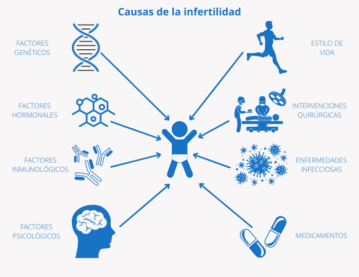 Causas de la infertilidad