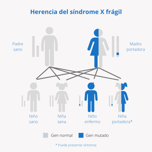 Síndrome X frágil y su herencia