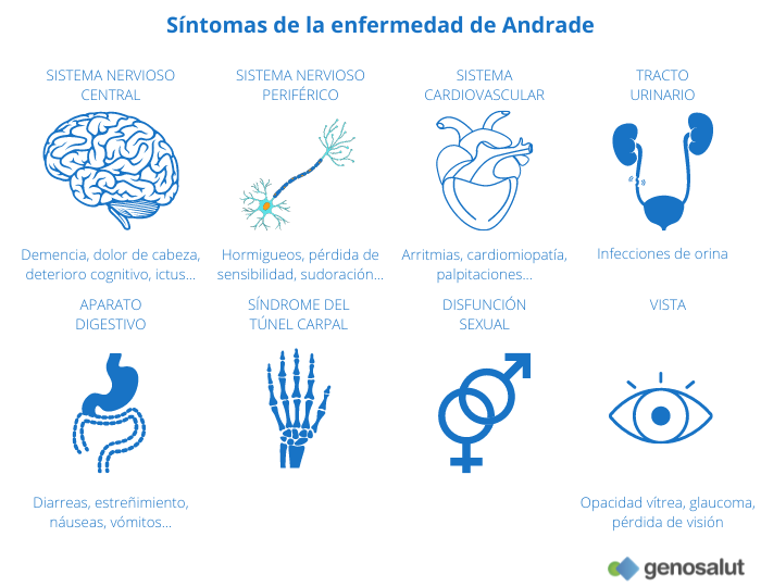 Enfermedad de Andrade y sus síntomas