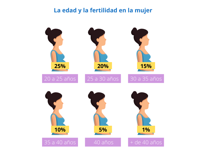 Fertilidad en la mujer y edad