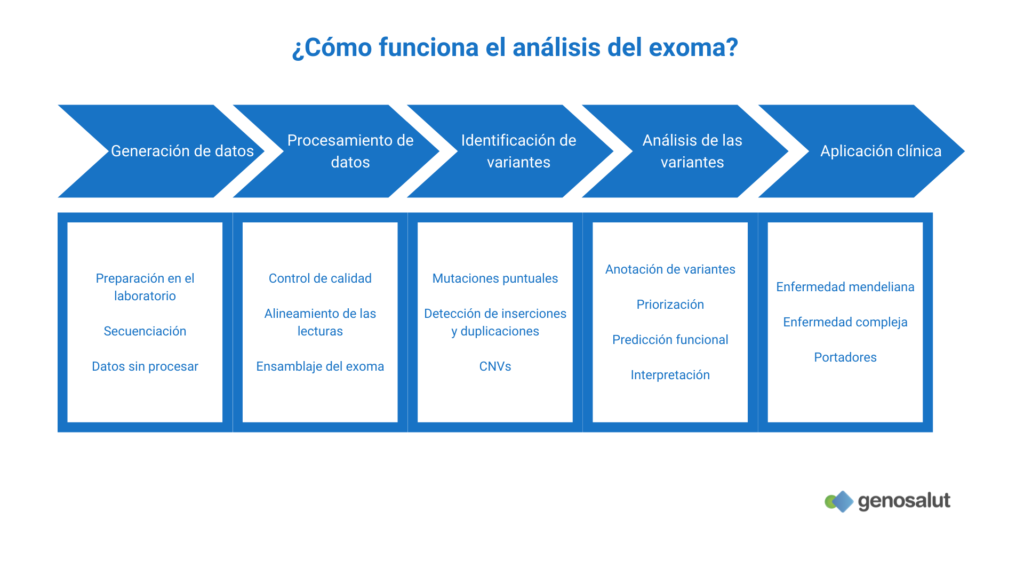 Análisis del exoma: cómo funciona