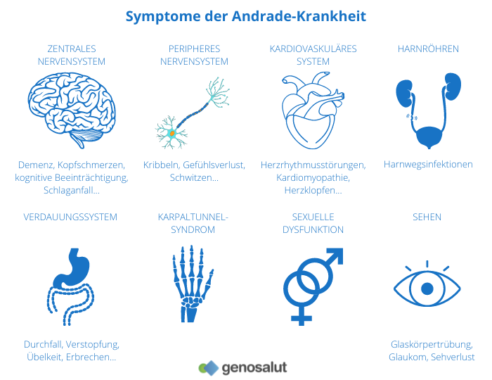 Die familiäre Amyloidpolyneuropathie Typ I oder Andrade-Krankheit und ihre Symptome