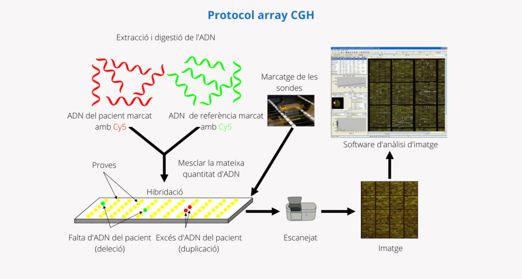 Array CGH: com funciona