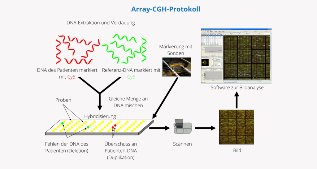 Protokoll einer Array-CGH