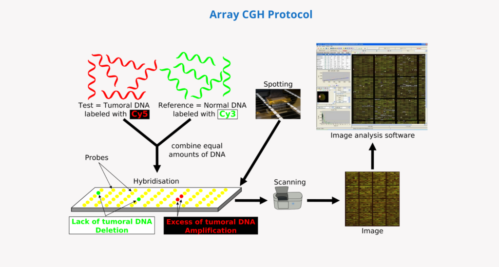 Array CHG: how does it work?