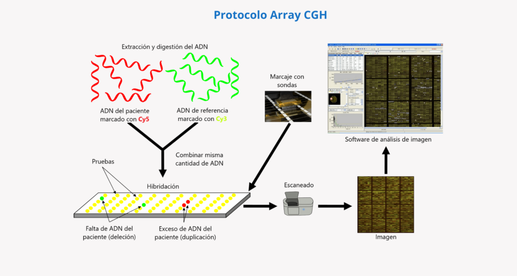 Protocolo de un array CGH