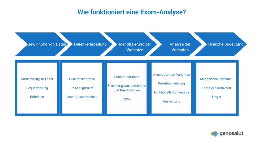 Schritte einer Exom-Analyse