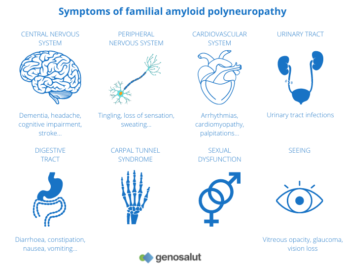 Familial amyloid polyneuropathy and its symptoms