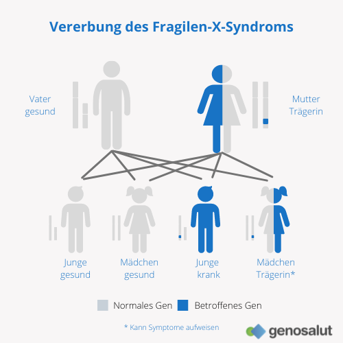 Fragiles-X-Syndrom und seine Vererbung bei Jungen und Mädchen