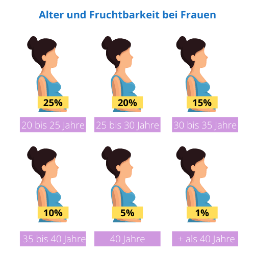 Disminución de la fertilidad femenina con la edad Weibliche Fruchtbarkeit und Alter