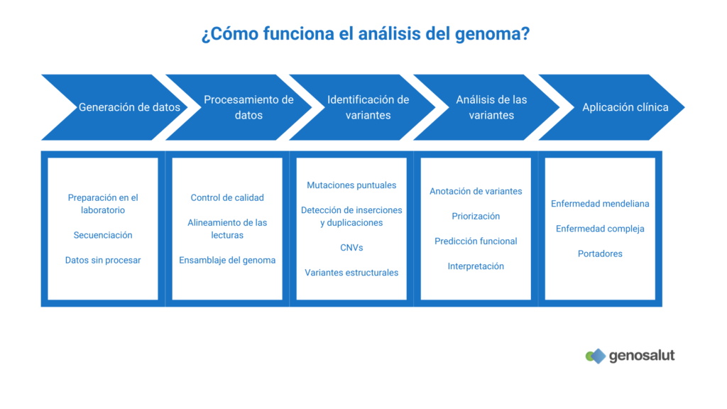 Análisis del genoma: cómo funciona