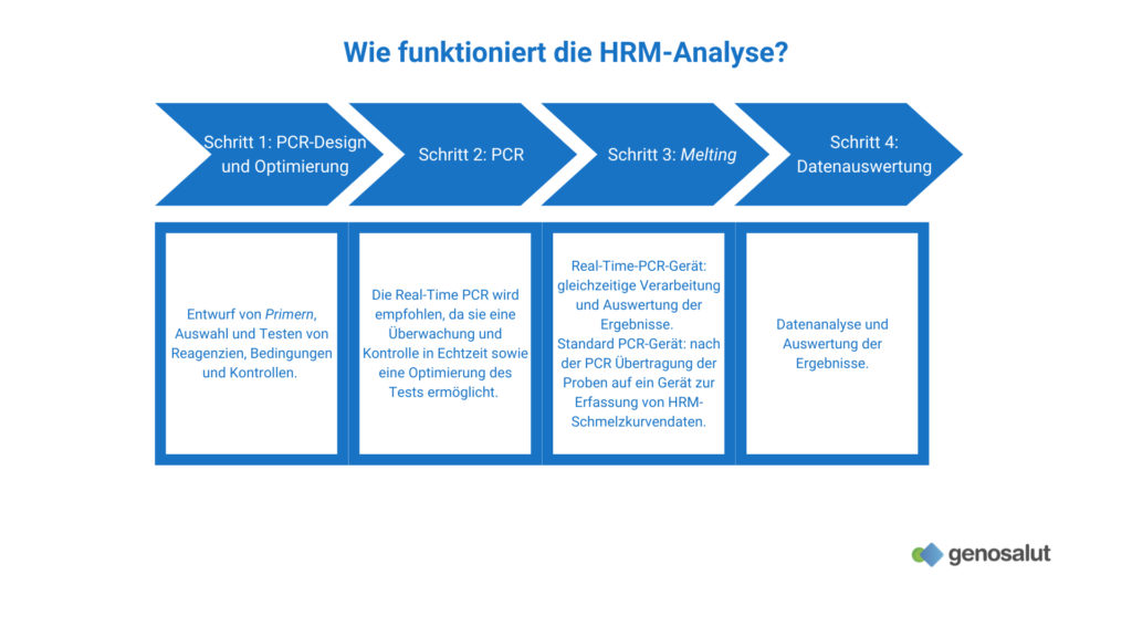 Wie funktioniert die HRM (high resolution melting) Analyse?