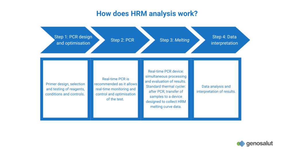 HRM (high resolution melting): How does it work?