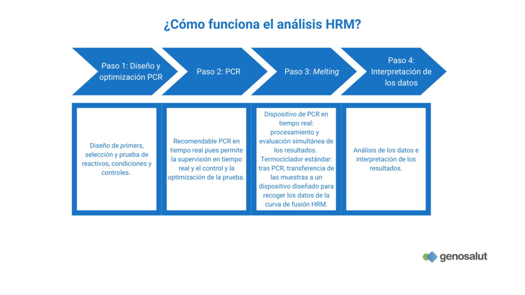 ¿Cómo funciona el análisis HRM (high resolution melting)?