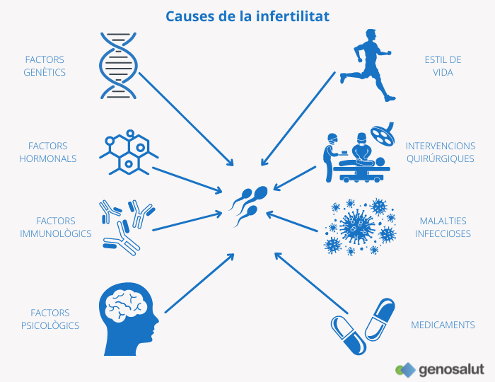 Causes de la infertilitat