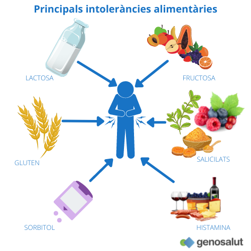 Principals intoleràncies alimentàries: lactosa, gluten, sorbitol, fructosa, salicilats, histamina