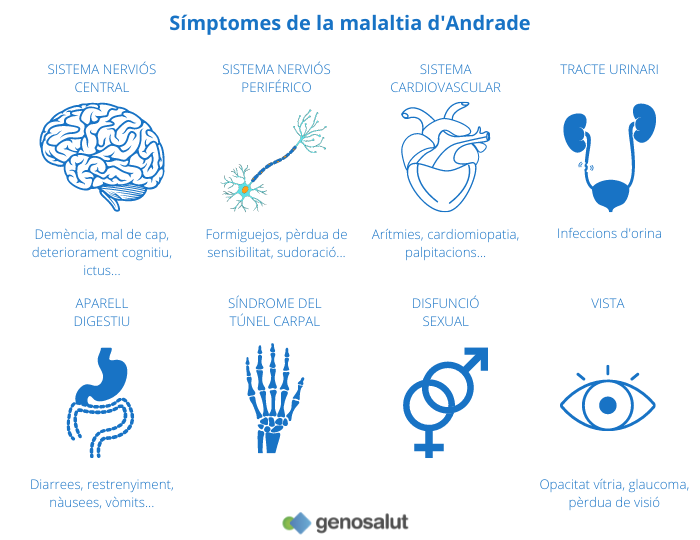 La malaltia d'Andrade i els seus símptomes
