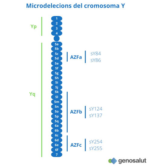 Microdelecions del cromosoma Y