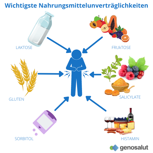 Wichtigste Nahrungsmittelunverträglichkeiten: Laktose, Gluten, Sorbit, Fruktose, Salicylate, Histamin