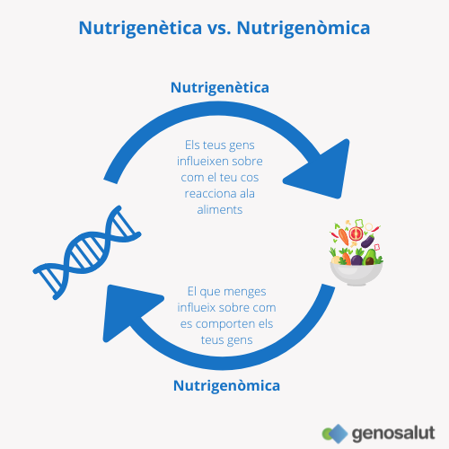Diferència entre nutrigenètica i nutrigenòmica