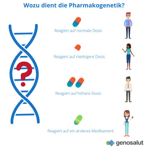 Pharmakogenetik, wofür sie verwendet wird