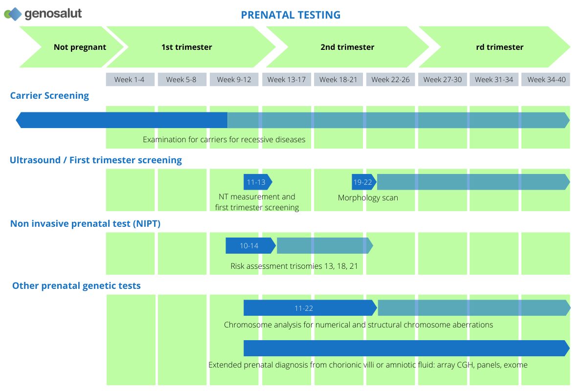 Prenatal diagnosis: different tests before and during pregnancy