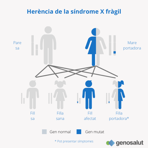 Síndrome X fràgil i la seva herència en nens i nenes