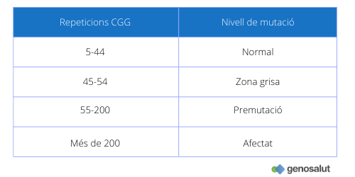 Síndrome X fràgil i nivell de mutació: normal, zona grisa, premutació i afectat