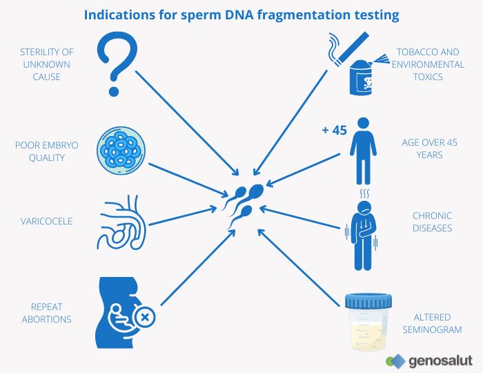Cases in which a sperm DNA integrity (SDI) test or sperm DNA fragmentation test should be performed