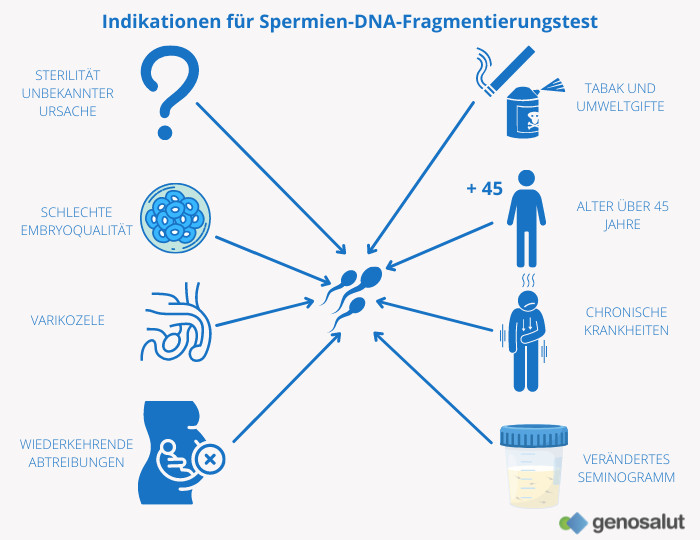 Fälle, in denen ein Spermien-DNA-Integritätstest (SDI) oder Spermien-DNA-Fragmentierungstest durchgeführt werden sollte
