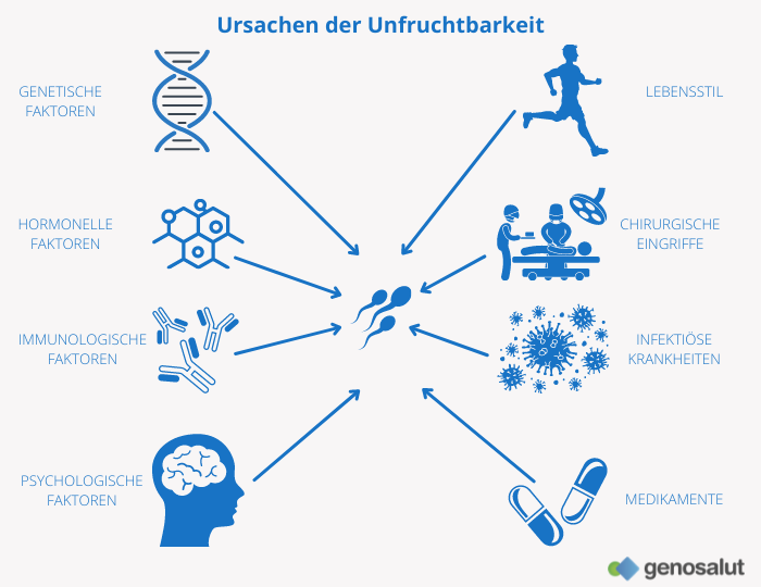 Ursachen der Unfruchtbarkeit