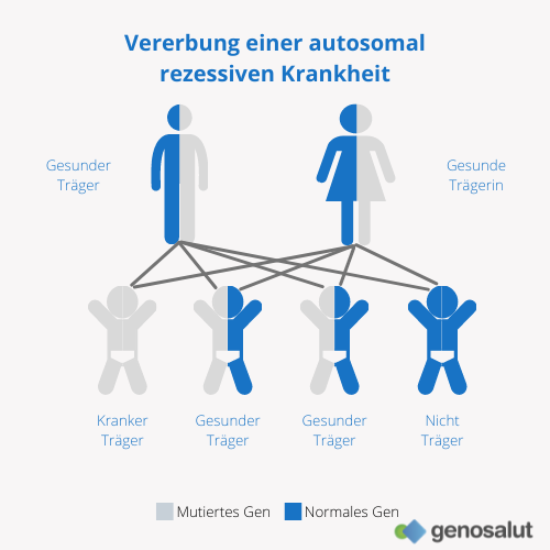 Carrier Screening, Wahrscheinlichkeit, dass die Nachkommen von einer rezessiven Krankheit betroffen sind