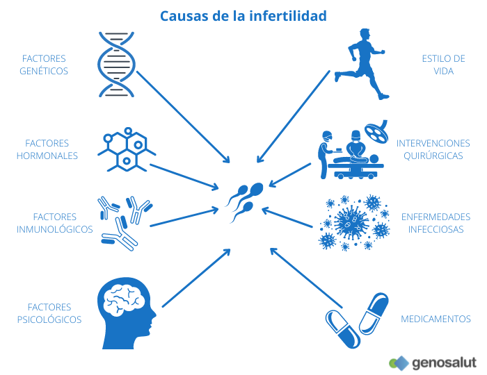 Factores que influyen sobre la fertilidad