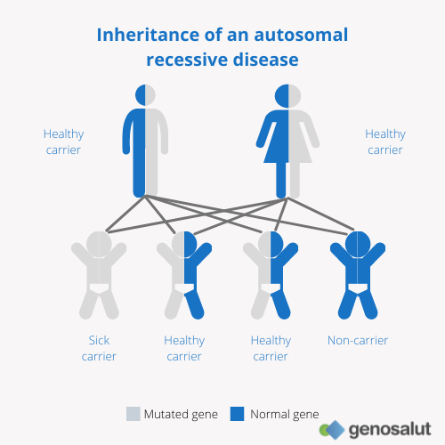 Carrier screening, probability that offspring are affected by a recessive disease