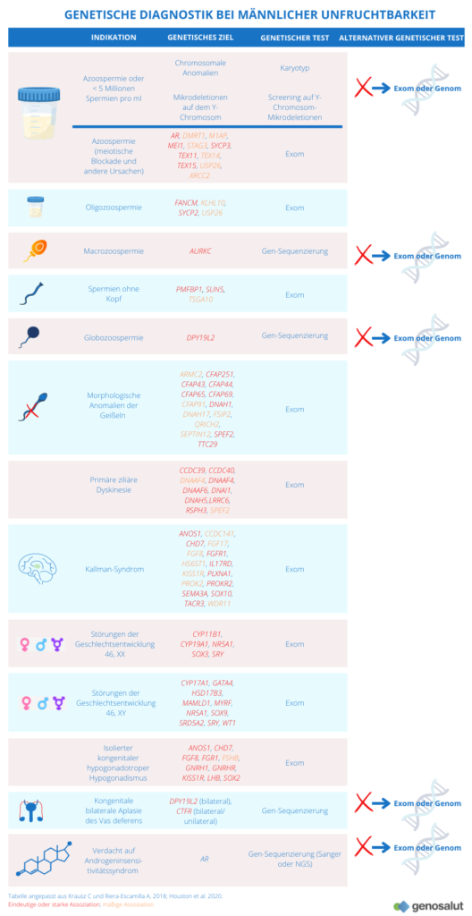 Genetische Diagnostik der männlichen Unfruchtbarkeit