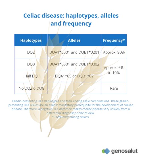 Celiac disease: DQ2, DQ8 and half DQ2 haplotypes predisposing to coeliac disease