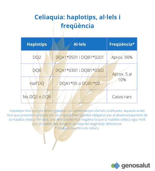 Celiaquia: haplotips DQ2, DQ8 i half DQ2 que predisposen a la malaltia celíaca