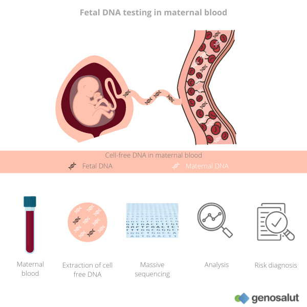 Fetal DNA testing or non-invasive prenatal testing