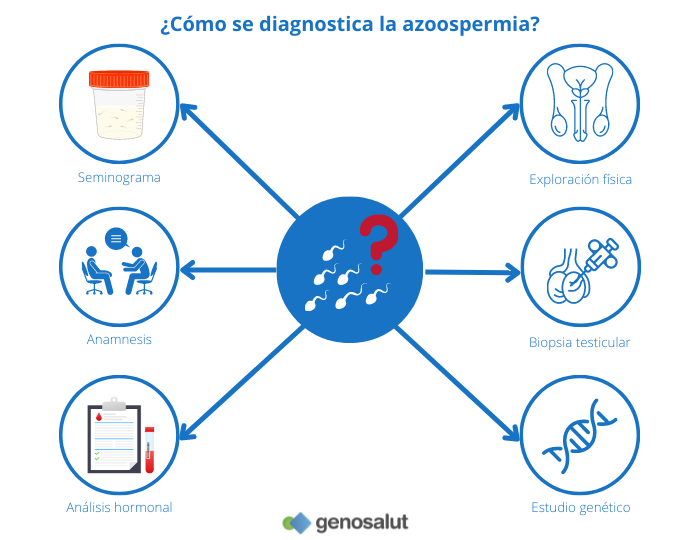 Cómo se diagnostica la azoospermia: desde el seminograma hasta el estudio genético