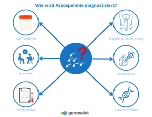 Azoospermie Ursachen, Diagnose und Behandlung Genosalut