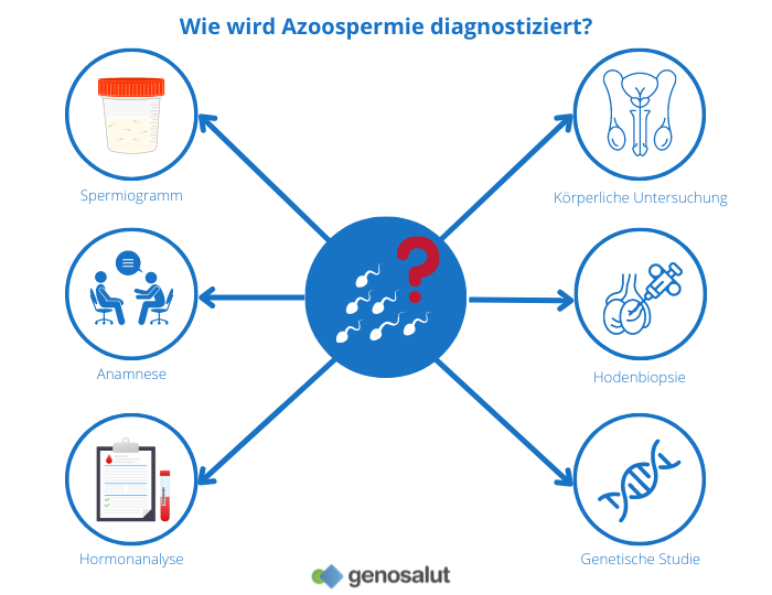 Wie Azoospermie diagnostiziert wird