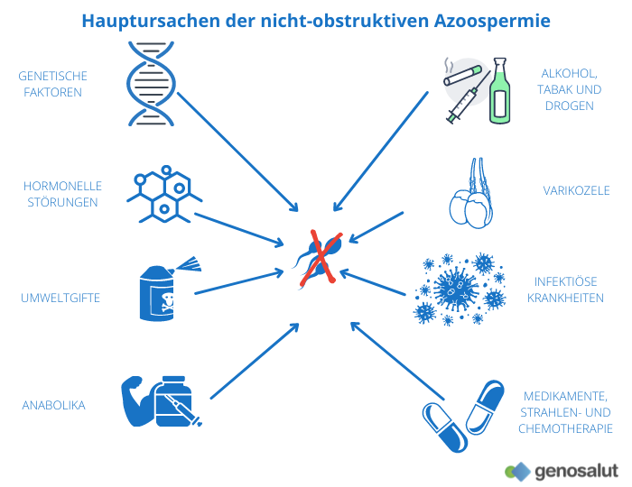 Sekretorische oder nicht-obstruktive Azoospermie: Ursachen