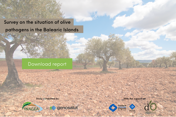 OLITECH project: pathogens of olive trees