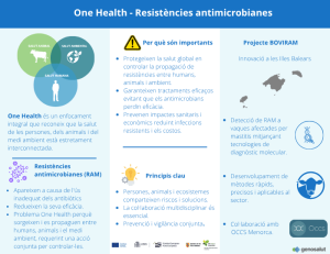 Infografia sobre One Health i les resistències antimicrobianes, amb els conceptes clau, les causes de la RAM i un resum del projecte BOVIRAM a les Illes Balears.