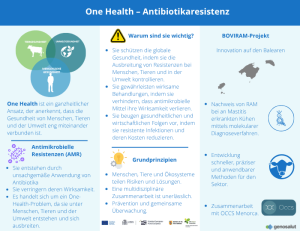 Infografik über One Health und antimikrobielle Resistenzen mit zentralen Konzepten, Ursachen der AMR und einer Übersicht über das BOVIRAM-Projekt auf den Balearischen Inseln.