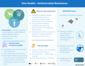 Infographic on One Health and antimicrobial resistance, highlighting key concepts, RAM causes, and an overview of the BOVIRAM project in the Balearic Islands.