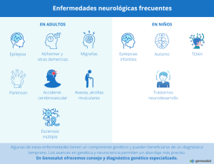 Infografía sobre enfermedades neurológicas frecuentes en adultos y niños.