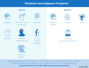 Infografia sobre malalties neurològiques freqüents en adults i infants.